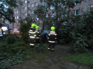 IMG 3010[1]